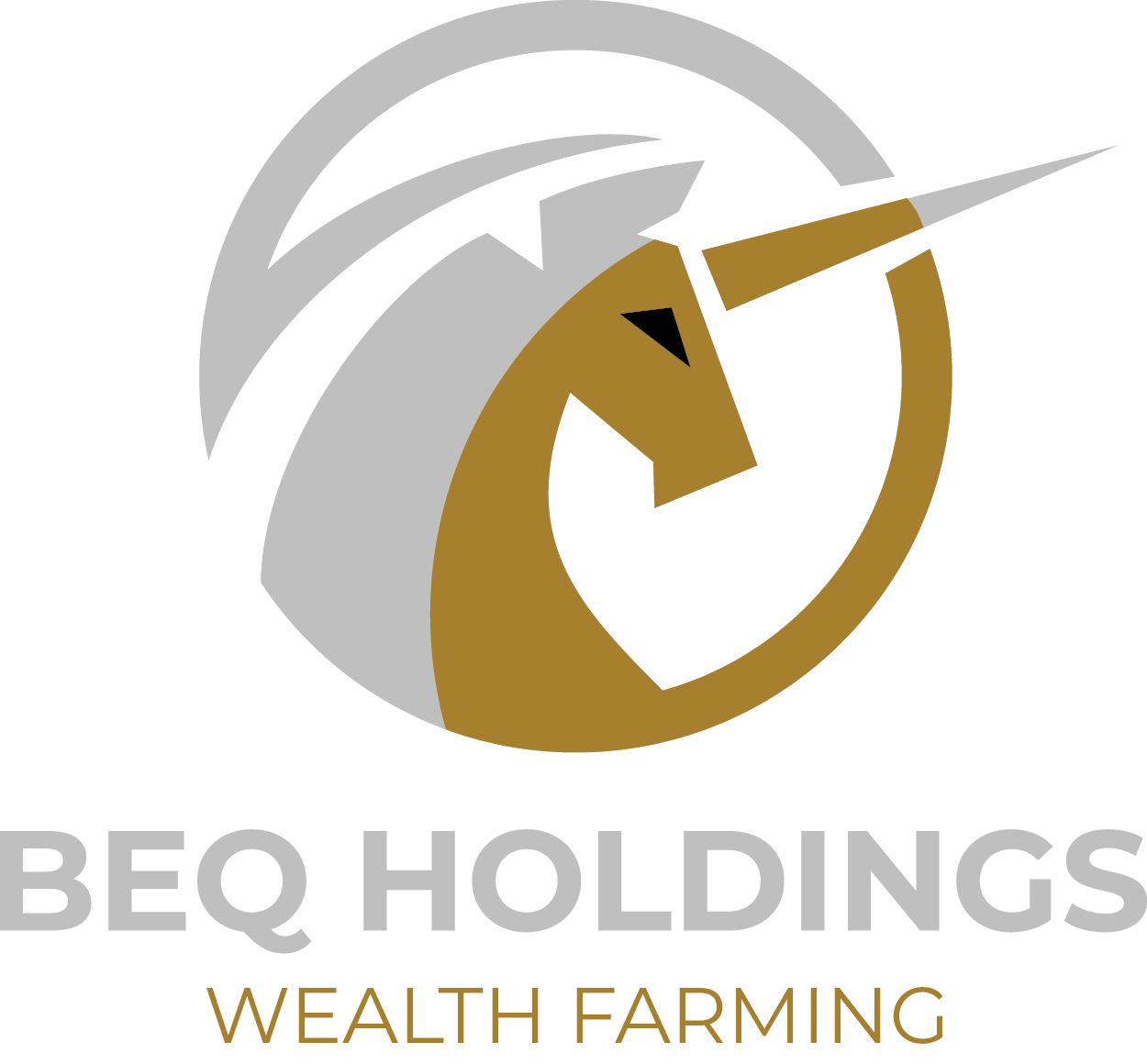 BEQ HOLDINGS